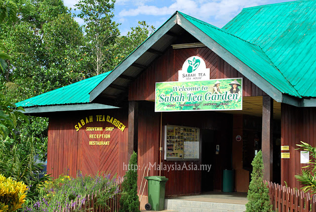 Tea and Scones at Sabah Tea Garden