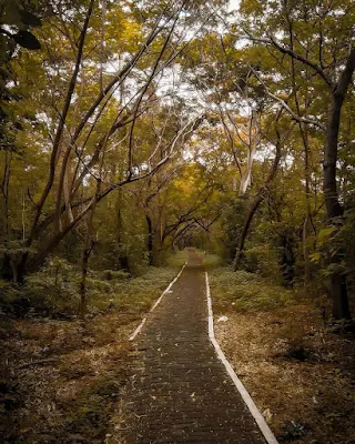 jalan di pulau panjang