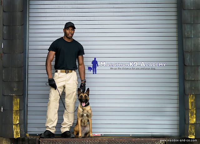  Police K9 and Dog Training Branding Sessions | Maddox & Co. Working Dog Photographer 