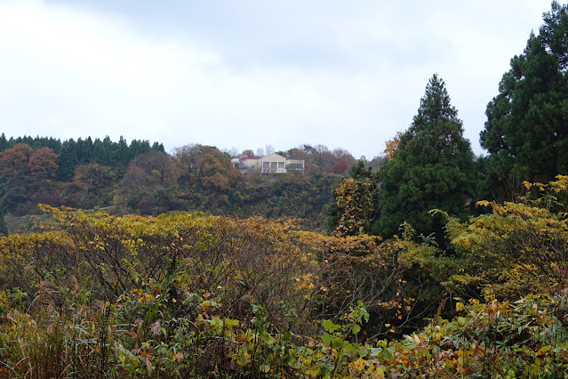 鳥取県西伯郡伯耆町 マウンテンストリームきしもとに向かいます