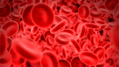 why-blood-is-red,red-blood-cell