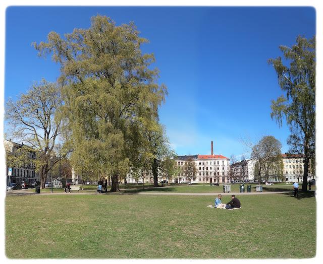 Fint når det våres i Sofienbergparken på Grünerløkka i Oslo!
