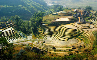 Sapa Vietnam