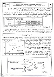 http://www.didactique-svt.com/2019/06/2019_13.html