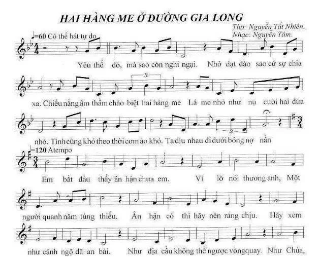 Hai hàng me ở đường Gia Long-