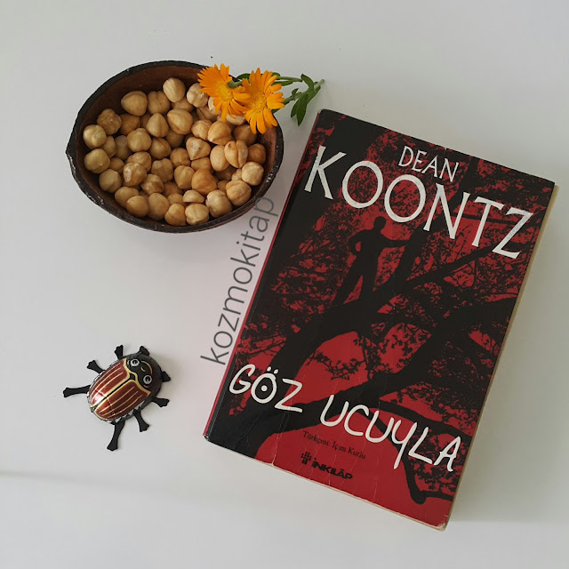 Göz Ucuyla - Dean Koontz