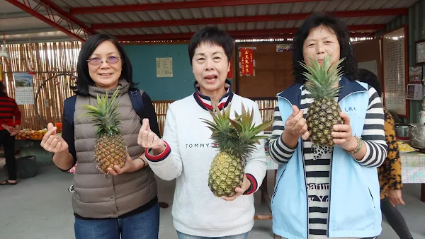 田中鎮復興社區共餐 鳳梨入菜上桌挺農民