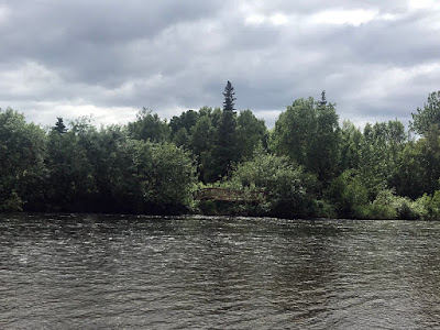 Beautiful Willow Creek Runs Right Behind Our Campsite