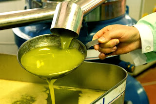 Contraffazione olio  d'oliva