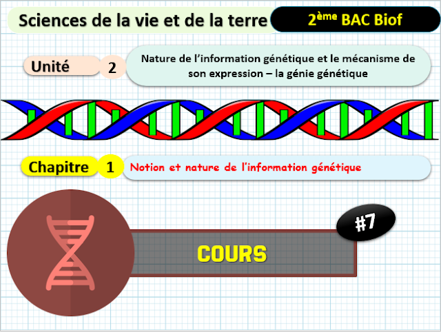 Télécharger | cours  | 2ème BAC SVT Biof | Notion et nature de l’information génétique #7