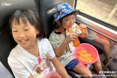 原來這才是動物園！一秒置身非洲草原 零距離體驗餵食樂趣 輕鬆