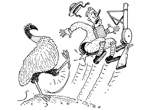 Karikatur Emu War - Peperangan Yang Memalukan Australia