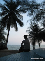 quite evening at the beach surrounded by coconut trees