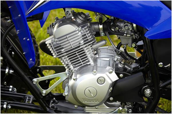 2011 Yamaha Raptor 125 Engine View