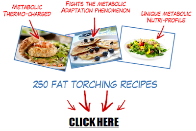 Metabolic Cooking Review - Fat Loss Cookbook by Karine Losier & Dave Ruel 