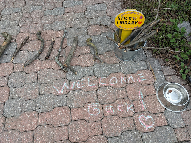 7 sticks artfully arranged in the driveway next to a metal bucket with thinner sticks and the "Stick Library" sign with "Welcome Back!" chalked next to a full water dish