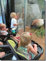 zoo 16 months 029