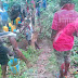 OAU-Ife Students Fetch Water From Stream (Pictures) 
