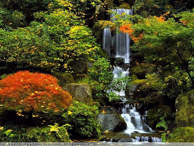 Natural View Water Fall Photos | Resolution 800x600