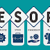 How Professional ESOP Services Enhance Employee Ownership Plans? 