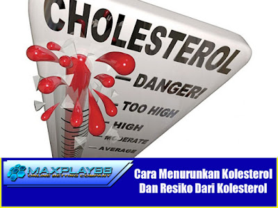 Bahaya Dari Kolesterol