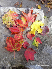 annecharriere.com, couleurs d'automne, 