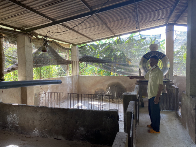 Ông Nguyễn Ngọc Đương ở thôn Hiệp Hòa (xã Quảng Hiệp, huyện Cư M’gar) bên chuồng lợn vừa có lợn bị mắc bệnh DTLCP phải tiêu hủy. Ảnh: TD.