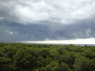 El Saler Big Storm photos - Valencia - Spain