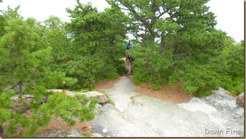 Gorham mt hike_084