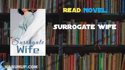 Read Surrogate Wife Novel Full Episode