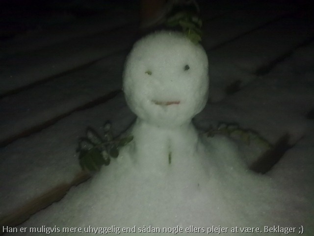 27112010056_resize