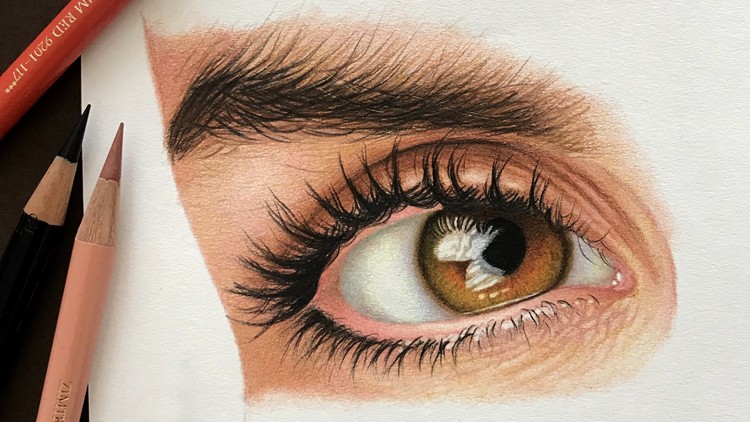 The Colored Pencil Drawing Techniques Course Udemy Coupon