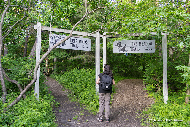 Beaver Lake Nature Center - Baldwinsville, NY por El Guisante Verde Project