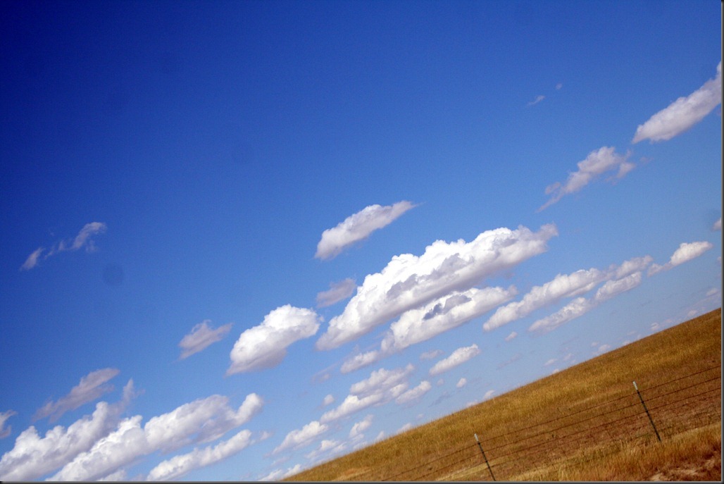 Sturgis2010-102