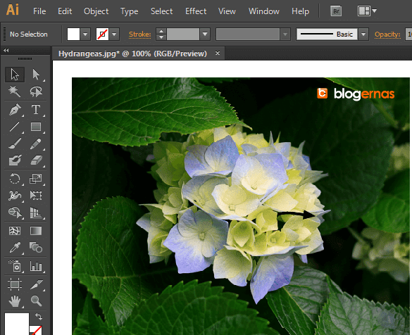 Cara Crop Gambar dengan Adobe Illustrator