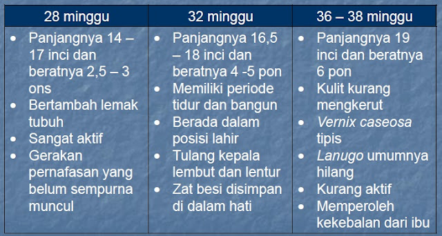 Pembuahan terjadi bila sel telur bertemu sperma dan masuk melalui dinding telur Info Kehamilan