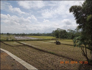 DSCN5481