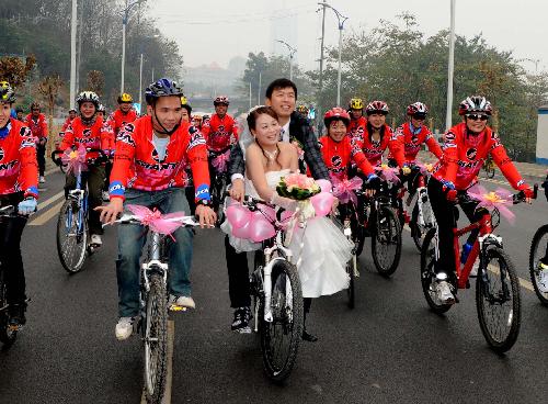 Couple married on bicycle picture