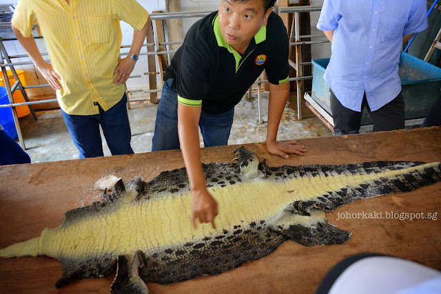 Long-Kuan-Hung-Crocodile-Farm-农光行鳄鱼场-Singapore