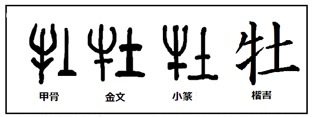 漢字考古学の道 漢字の由来と成り立ちから人間社会の歴史を遡る 漢字 牡 は太古の昔にはオスの牛だけを意味していたが 現代では 牡 という漢字は動物一般の性別を総称するようになった