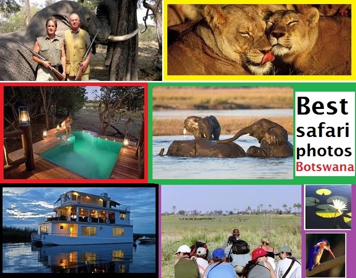 des voyages et des safaris en Afrique australe pour decouvrir le Botswana