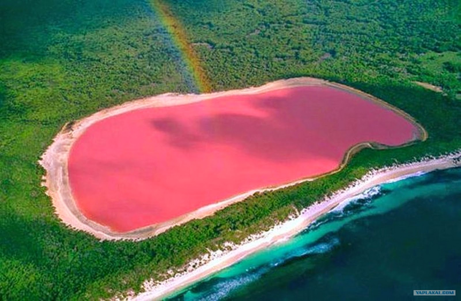 Hillier Lake Western Australia (Pink Lake)