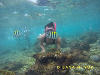 "pengalaman serunya snorkling di pantai nglambor"