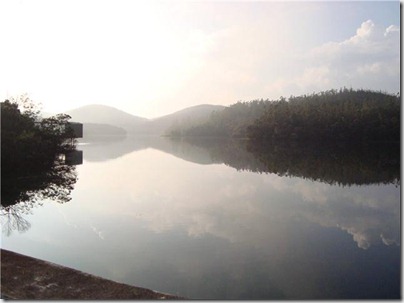 Picture4 (Small)
