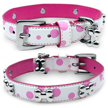Pinkpolkadot collars mr mrs dog