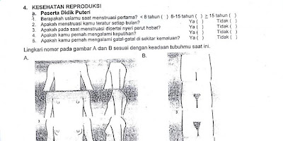 Gambar Kuesioner Kesehatan Reproduksi 