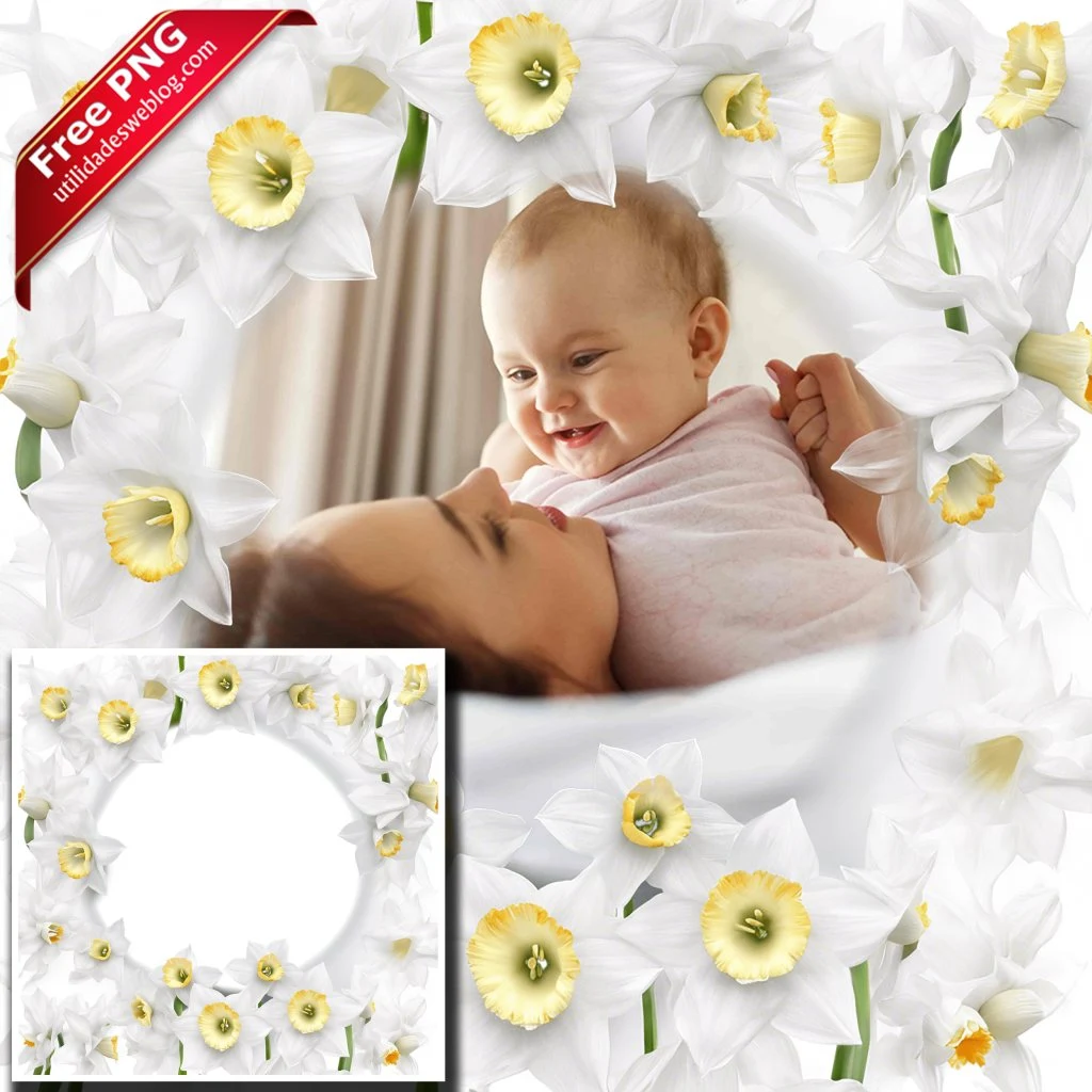 marco para fotos con flores de daffodil o narcisos blancos en png con fondo transparente para descargar gratis