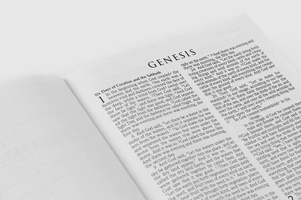Best Genesis 4 | Cain and Abel | Genesis 4:1-26