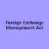 Navigating Foreign Exchange Regulations: Insights