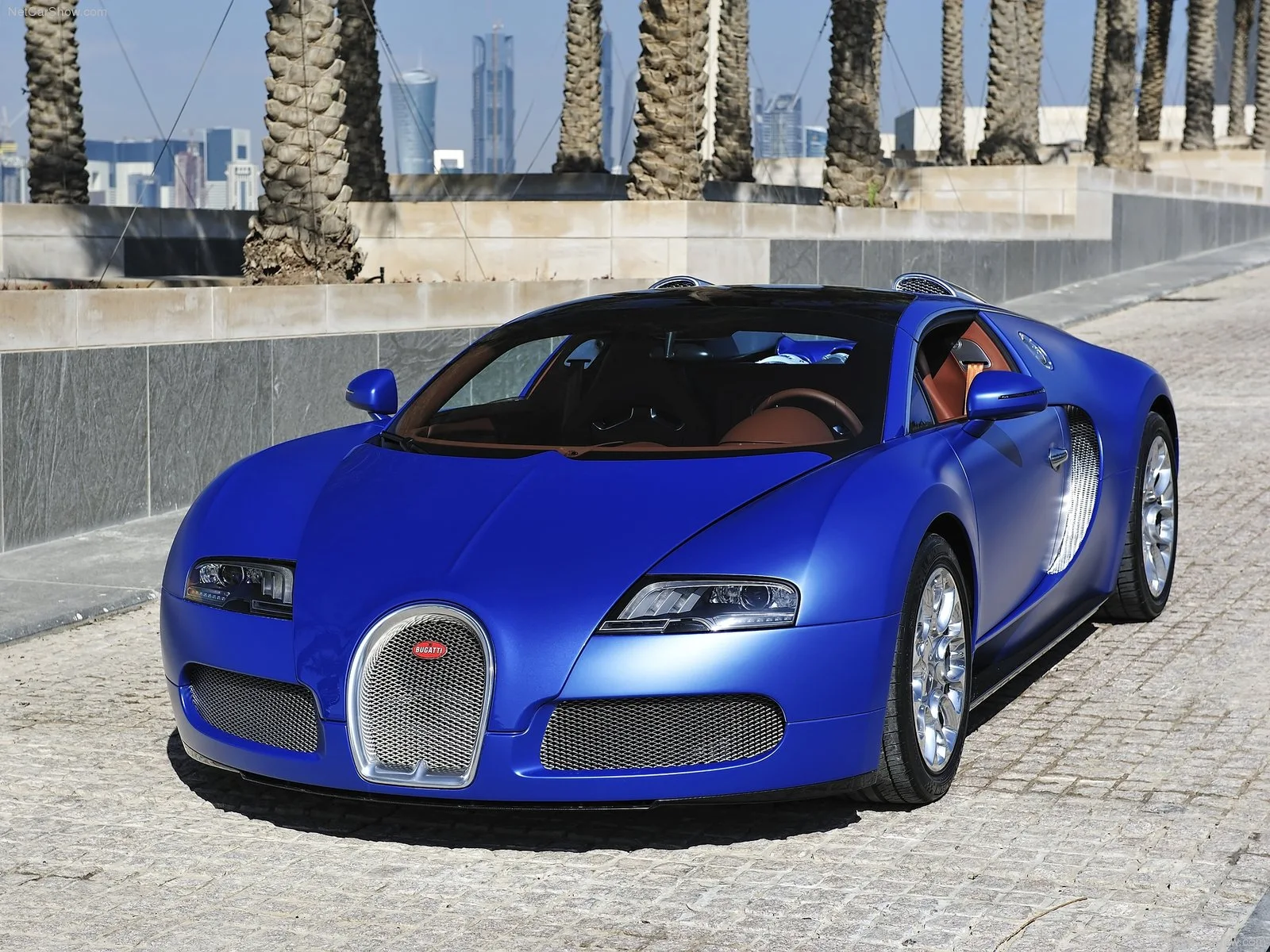 Hình ảnh siêu xe Bugatti Veyron Grand Sport 2009 & nội ngoại thất